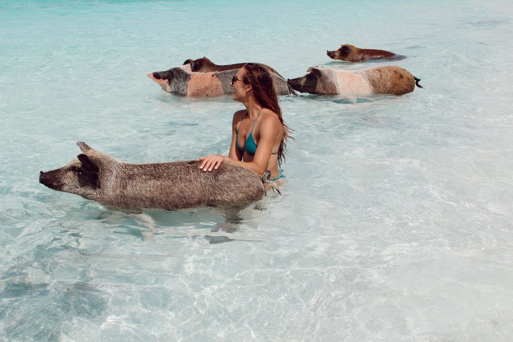 43B50F1C-9C4C-4BC2-88C2-CE46D9D6D5D4