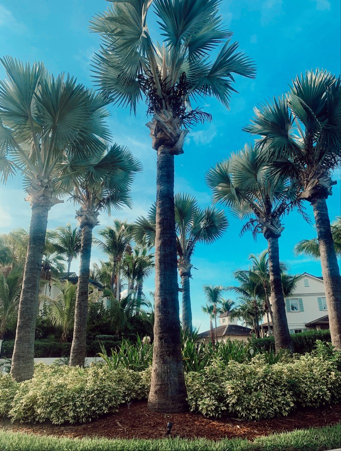 80389271-76FE-4A95-91F3-9CC59CC3138A