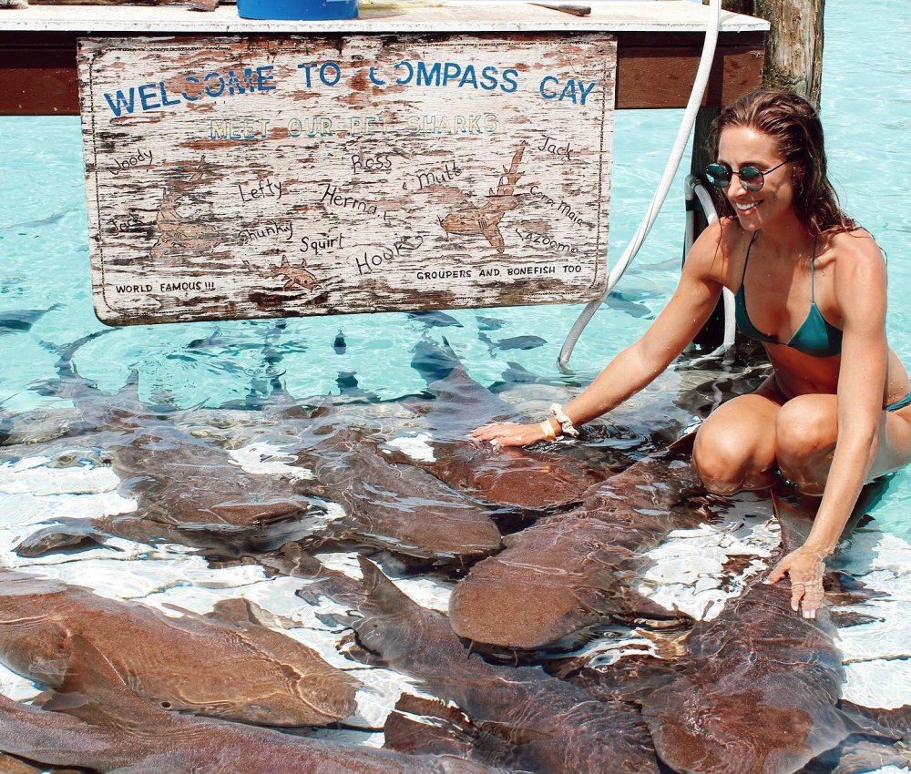 a7cc4676-1ab6-4c80-aaa6-ccaae303f074