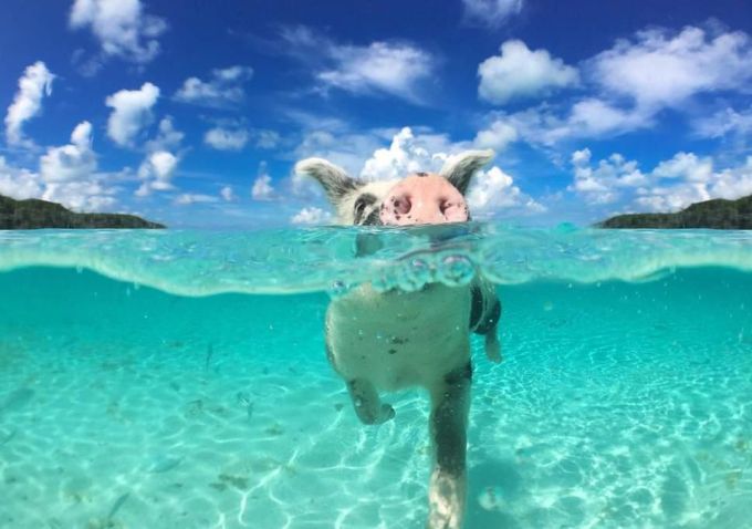 photo taken from google